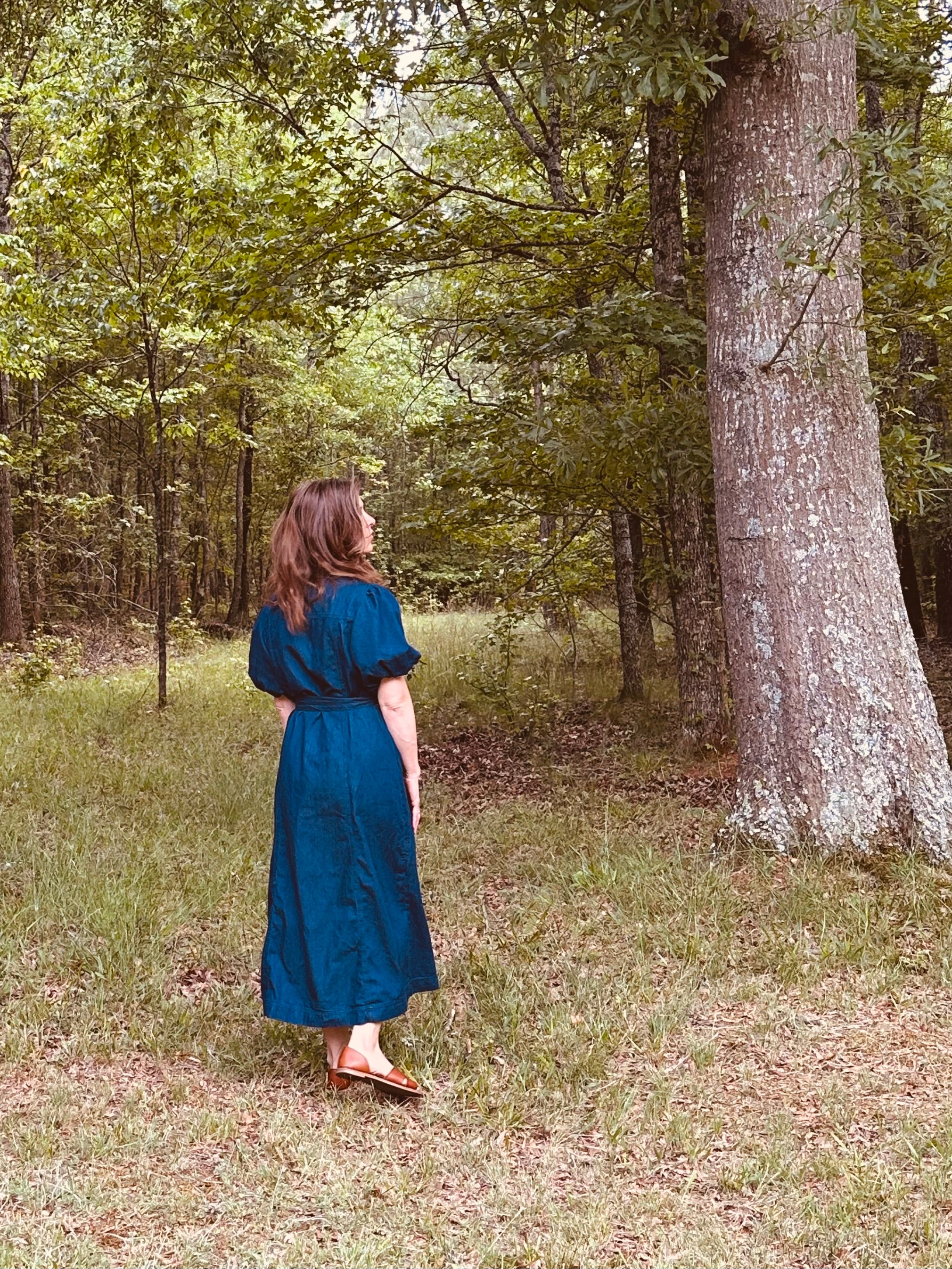 Mama’s Day Out Denim Dress